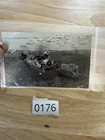  Preview image for Lot# 176 - Wild Hare Rabbit Chase RPPC P 