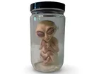  Preview image for Alien in Jar 