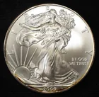  Preview image for 2009 AMERICAN SILVER EAGLE 