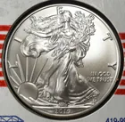  Preview image for 2019 AMERICAN SILVER EAGLE 