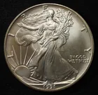  Preview image for 1991 AMERICAN SILVER EAGLE 