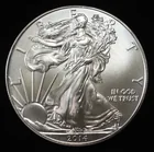  Preview image for 2014 AMERICAN SILVER EAGLE 