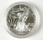  Preview image for 2021 US $1 American Silver Eagle 1 oz 