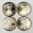  Preview image for Group of 4 US $1 American Silver Eagle 1 