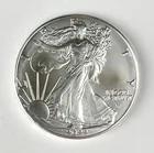  Preview image for 2022 US $1 American Silver Eagle 1 oz 