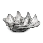  Preview image for A Large Silver Clad Seashell 