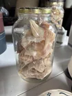  Preview image for Lot# 1029 - Jar of Sea Shells 
