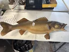  Preview image for Lot# 1223 - Taxidermy Wall Mount Fish 