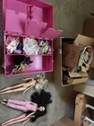  Preview image for Lot# 4600 - Barbie Dolls Clothing and Ca 