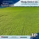 LAND AUCTION-30+/-ACRES-2 TRACTS IN WHITLEY CO, IN