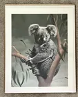  Preview image for Lot# 370 - Signed Charles Frac "Koala" p 