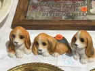  Preview image for PUPWAPY DECOR 