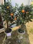  Preview image for Lot# 218 - 2 orange decorative plants, p 