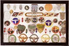  Preview image for Hitlerjugend Badges & Tinnies Collection 
