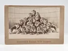  Preview image for Lot# 179 - BOSTOCKS TRAINED WILD ANIMALS 