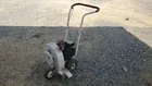  Preview image for 26007 Blower with 5hp Engine 