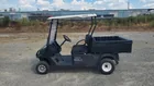  Preview image for 26010 Cushman Hauler Pro 