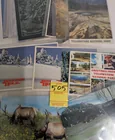  Preview image for Over 250 Postcards 