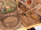  Preview image for Old bird cages 