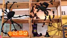  Preview image for Halloween Decor.... 