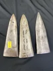  Preview image for Lot# 231 - (3) Tobacco Spears 