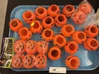  Preview image for Lot# 448 - Grouping of Miniture Blow Mol 