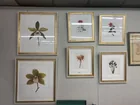  Preview image for Lot# 829 - 6 Framed Floral Prints 
