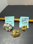  Preview image for Lot# 324 - Waterbury Military Buttons 