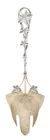  Preview image for Sterling Silver "Ivy" Serving Fork 
