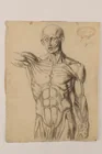  Preview image for French Academic Anatomical Study 