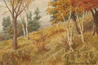  Preview image for Thomas Mower Martin RCA Autumn Hillside 