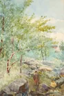  Preview image for Henri Julien Canada Watercolor Brook 