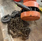  Preview image for One Ton chain hoist 