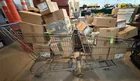  Preview image for (2) Shopping carts full of New In Box 