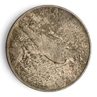  Preview image for 1922 D Silver Peace Dollar 