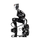  Preview image for Swarovski Crystal DC Figurine, Catwoman 
