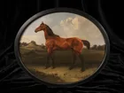  Preview image for Round Framed Equestrian Portrait Print 