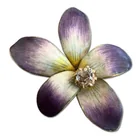  Preview image for 14k Yellow Gold Art Nouveau Enamel 