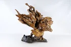  Preview image for Large Carved Root Wood Raptor Sculpture 
