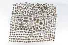  Preview image for Archeologist Dig Finds Lot! 
