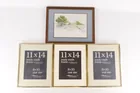  Preview image for Robin Watercolor with 3 Frames 
