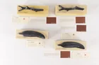  Preview image for Graphite Agelio Batle Sculptures 