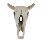  Preview image for Faux Taxidermy Weathered Bison Skull 