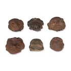  Preview image for 6pc Pre-Columbian Terracotta Heads 