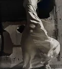  Preview image for Susan Friedman (American, 20th/21st C.), 