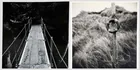  Preview image for Gypsy Ray (1949-2020), Two Gelatin 