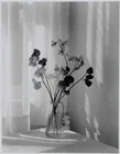 Preview image for Ryuijie (Japanese American b. 1950), 