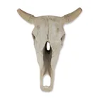  Preview image for Faux Taxidermy Weathered Bison Skull 