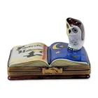  Preview image for Limoges Halloween Snowy Owl Trinket Box 