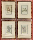  Preview image for SET OF FOUR ANTIQUE HAND-COLORED PRIMATE 